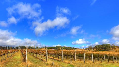 Tenterfield Accommodation Welcome 4 1920x1080